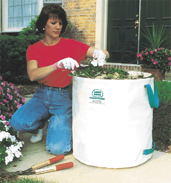 Rural King Heavy Duty 40 Gallon Lawn & Leaf Trash Bags, 40 Count | Rural  King